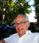 Gabbiano del Faro